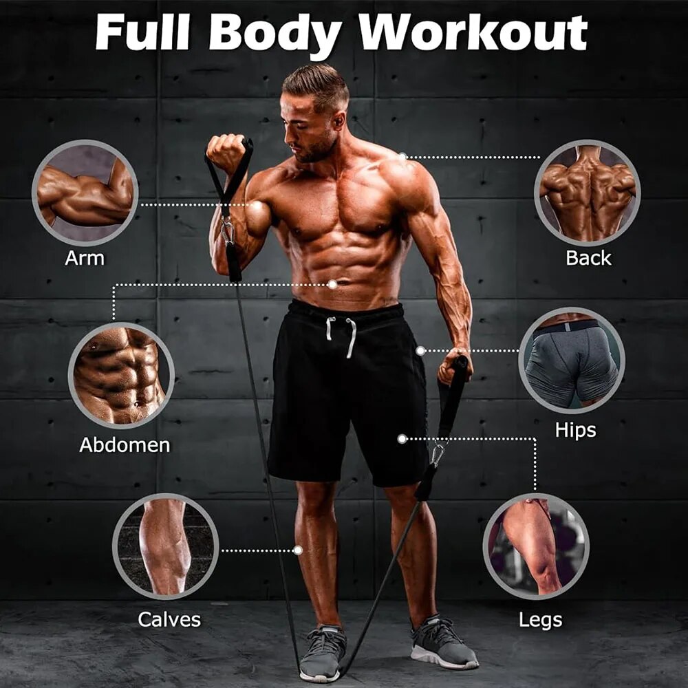ชุดยางยืดออกกำลังกาย สำหรับผู้ - Home Gym Routine บทวิจารณ์และราคา